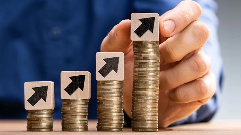 Capital Contribution